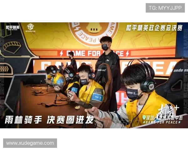 和平精英专题深入解析RNG战队的战术与技术优势 和平精英专题深入解析RNG战队的战术与技术优势